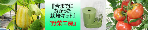 ���ޤǤˤʤ��ä����ݥ��åȡ���ڹ�˼