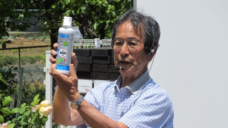 有島先生　ハイポネックス原液殺虫剤入り