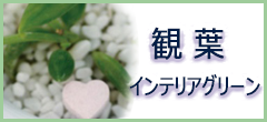 観葉・インテリアグリーン