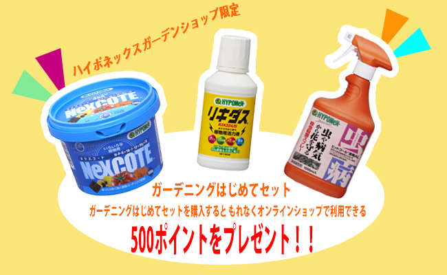 セット用画像
