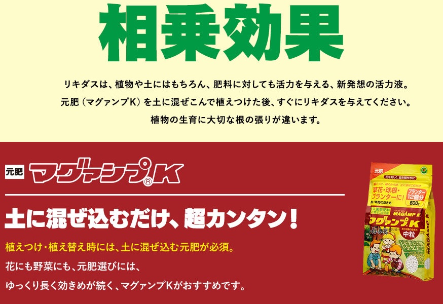 相乗効果マグ画像