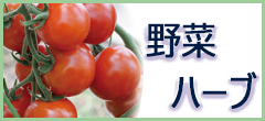 野菜・ハーブ